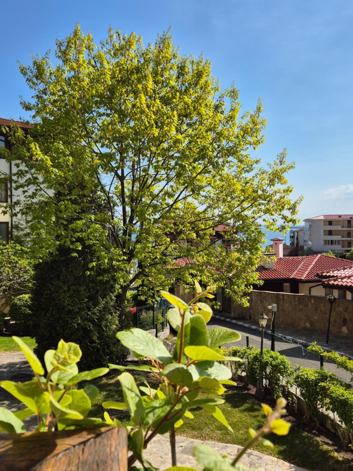 Апартамент Ния, Райска Градина / Garden Of Eden Sveti Vlas Exterior foto